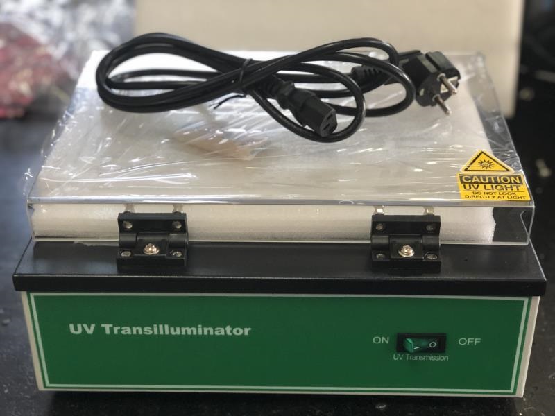 Transiluminador UV