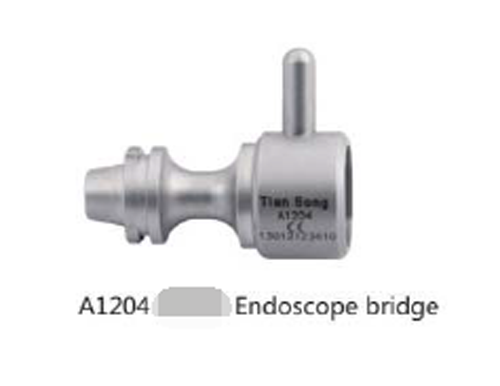 Endoscope bridge