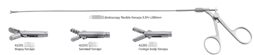 Endoscopy flexible forceps