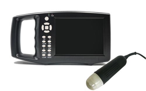 Handheld B-ultrasound detector mechanical probe