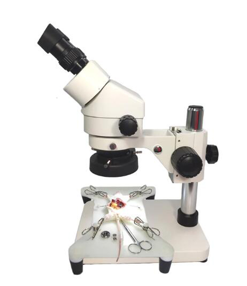 Simulateur de formation en microchirurgie en neurochirurgie