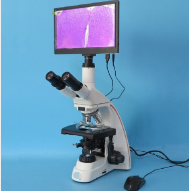 Trinocular infinity 
Biological Microscope 
with 12inch Touch Screen,CE model
(bright field)