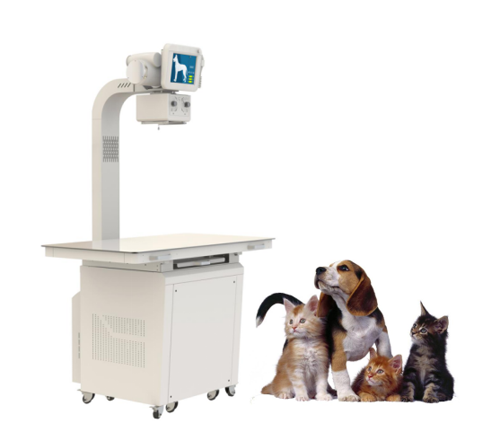 Digital Portable X-ray System For Veterinary