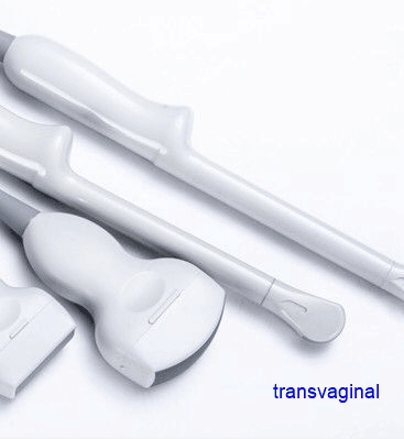 Sonda transvaginal