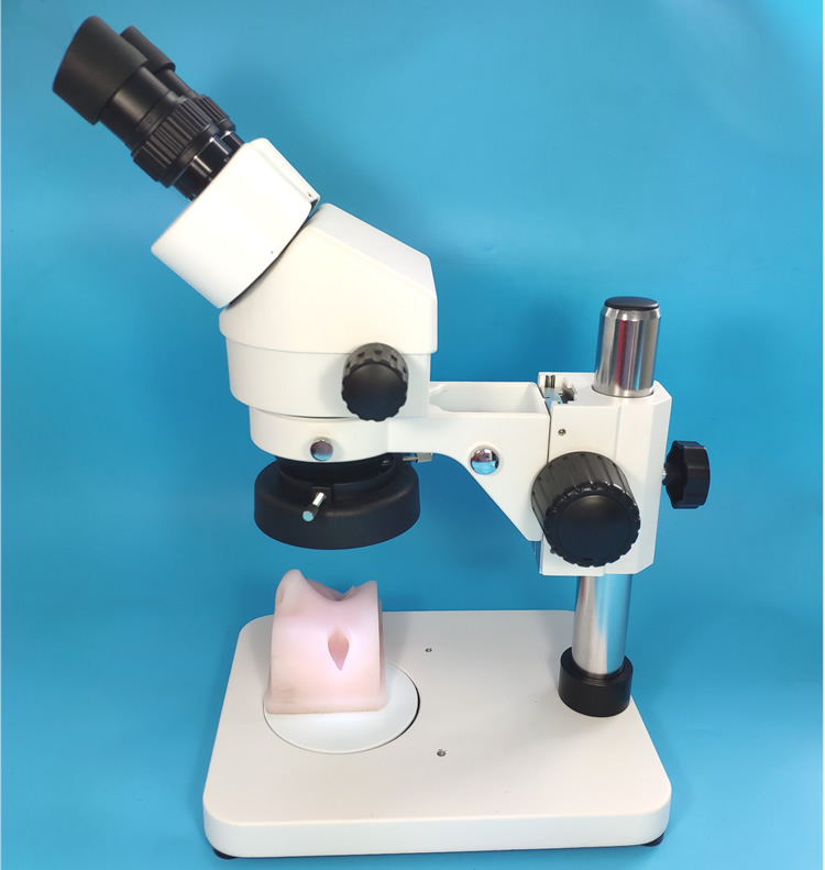 Simulateur de formation en microchirurgie en neurochirurgie