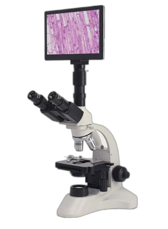 microscope trinoculaire avec écra