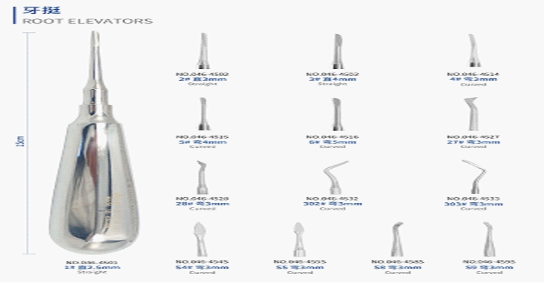 Dental Root Elevator 