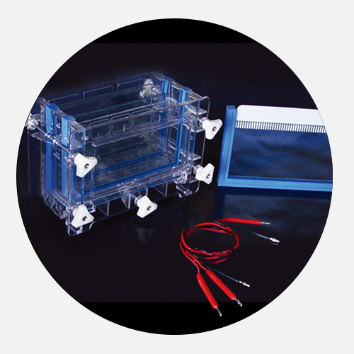 Electrophoresis Cell Tank