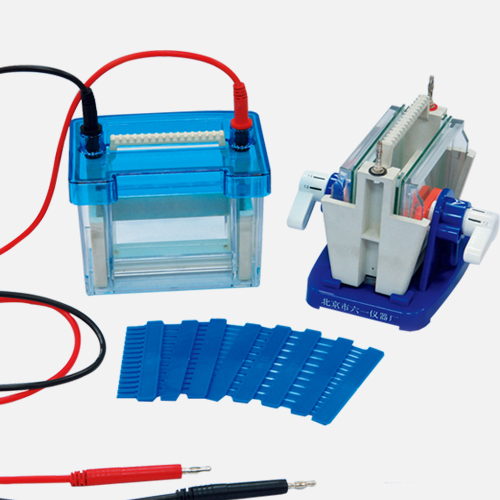 Electrophoresis Cell Tank