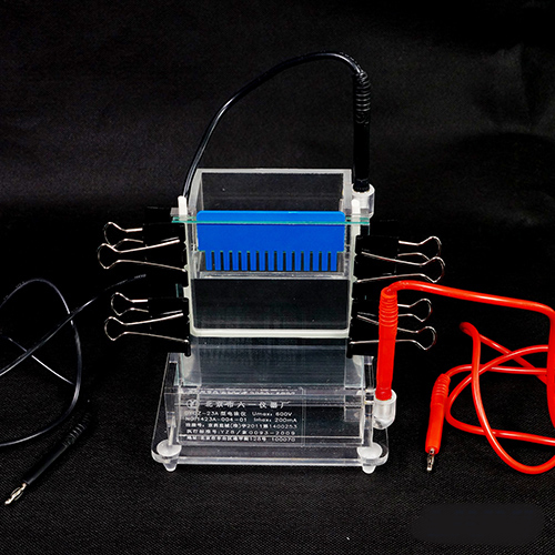 Electrophoresis Cell Tank