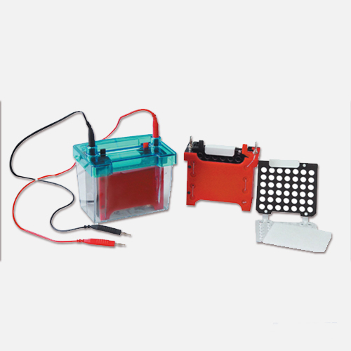 Electrophoresis Cell Tank