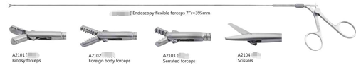 [A2101A2102A2103A2104] Endoscopy flexible forceps