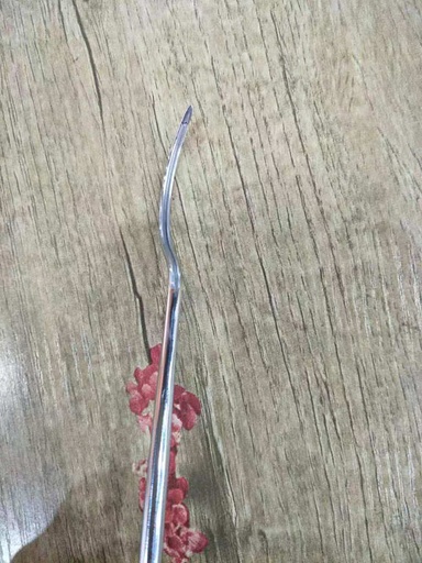 [CCSD00044] Anorectal Instruments Sickle-shaped slotted probe