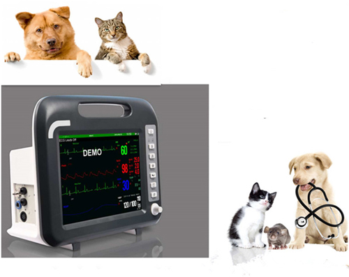 [CCV90E] Monitor de paciente veterinario de 12,1 pulgadas