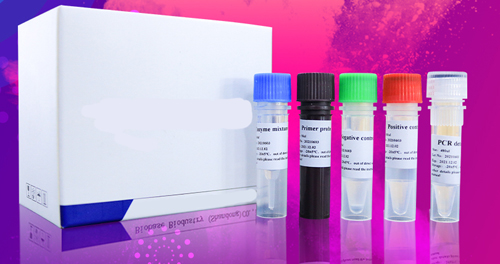 [CCL96R-1] PCR Reagent (48tests per box )