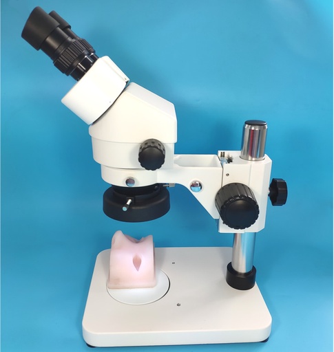 [CCL-955] Microsurgery training simulator of Ophthalmology