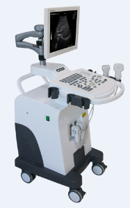 [CCB-350] BW Ultrasonic Imaging System