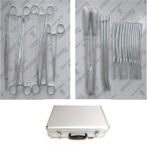 [CC23042602] Curettage Instrument Box, 31 pcs