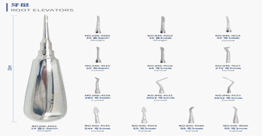 [CC24032203] Dental Root Elevator 