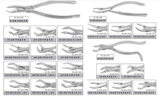 [CC24052603] Tooth Forceps For Adult