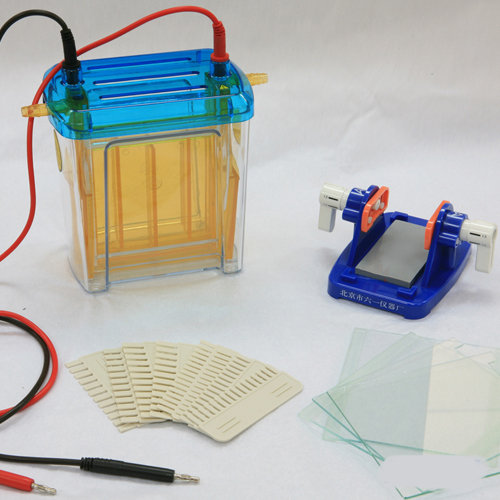 [CCL-DYCZ24EN] Electrophoresis Cell Tank